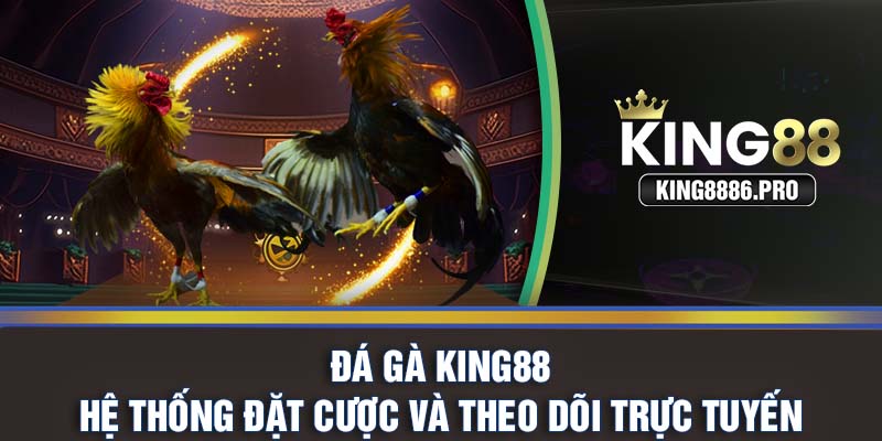 Đá gà KING88 - Hệ thống đặt cược và theo dõi trực tuyến