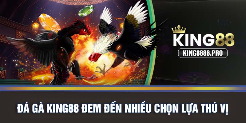 Đá gà KING88 đem đến nhiều chọn lựa thú vị