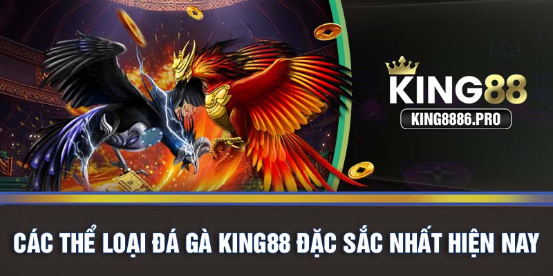 Các thể loại đá gà KING88 đặc sắc nhất hiện nay